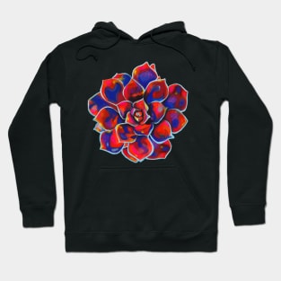 Red Succulent Hoodie